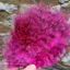 Whiting Super Bou in Grizzly Dyed Pink